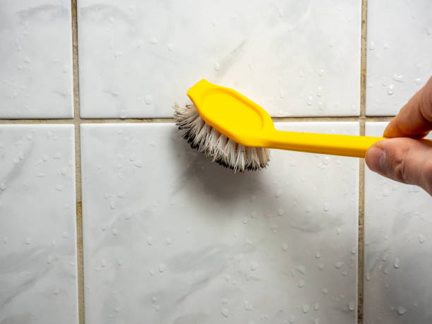 Mold Testing and Removal in Saucier, MS