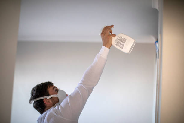 Best Toxic Mold Removal  in Saucier, MS