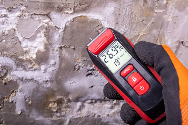 Best Emergency Mold Removal  in Saucier, MS