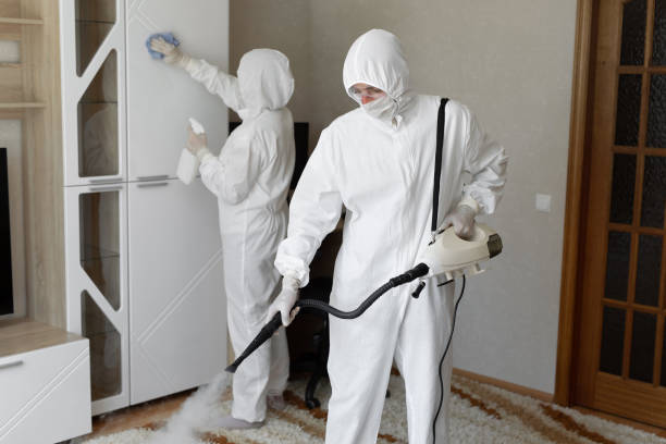 Best Home Mold Removal  in Saucier, MS