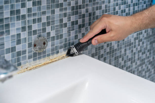 Office Mold Removal Services in Saucier, MS