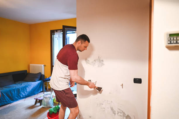 Best Mold Testing and Removal  in Saucier, MS