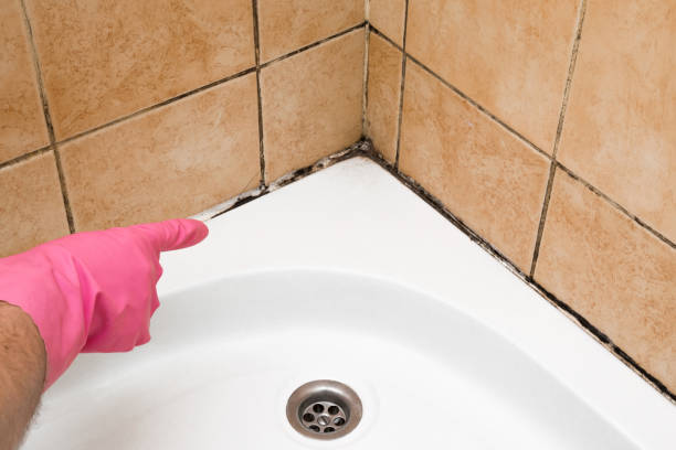Best Water Damage Restoration  in Saucier, MS